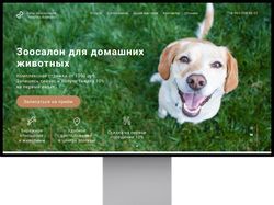 Healthy Animals – дизайн сайта