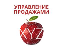 Управление продаж XYZ