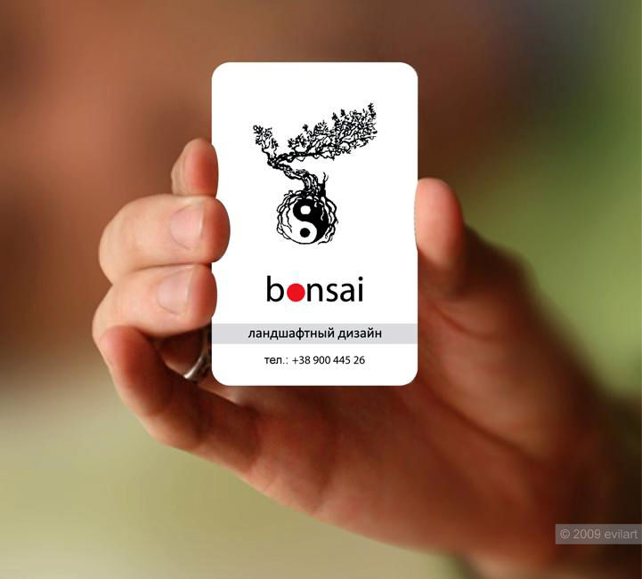 Ландшафтный дизайн «Bonsai».jpg