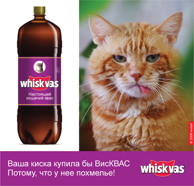 WhisKVAS :).jpg