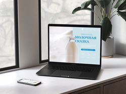 Портфолио