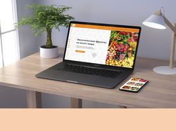 Портфолио