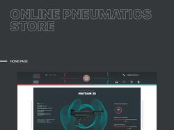 Дизайн интернет магазина пневматического оружия