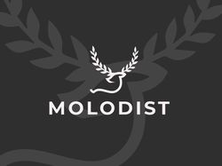Molodist Kyiv International Film Festival Concept
