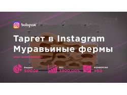 Таргет в Instagram для муравьиных ферм