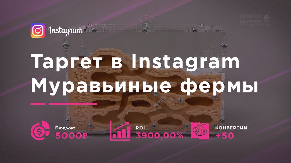 Таргет в Instagram для муравьиных ферм.png