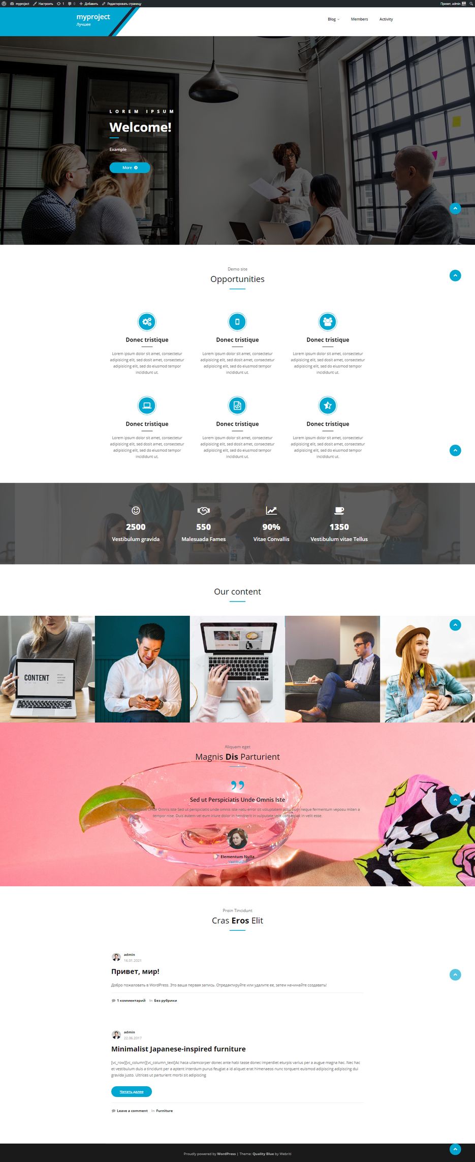 screenshot-localhost-mysite-1611086482990.png