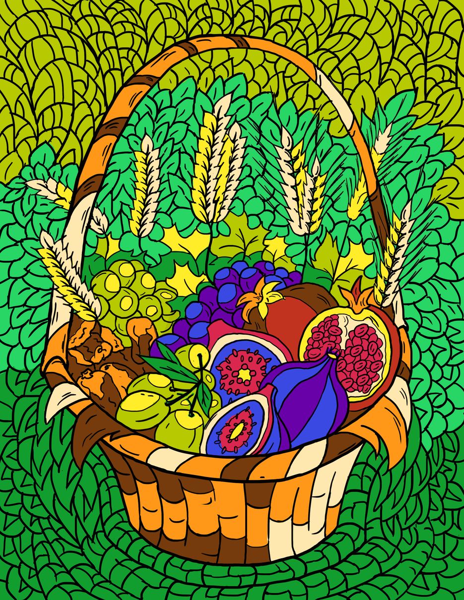 order color.png