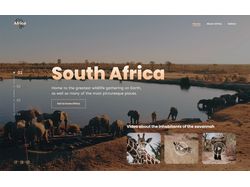 Дизайн главной страницы интересных мест в Африке