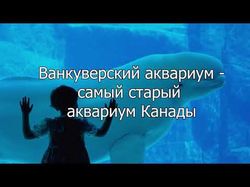 Здесь вы можете увидеть, что я умею делать