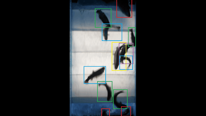 2021-01-26_18-10-14.png