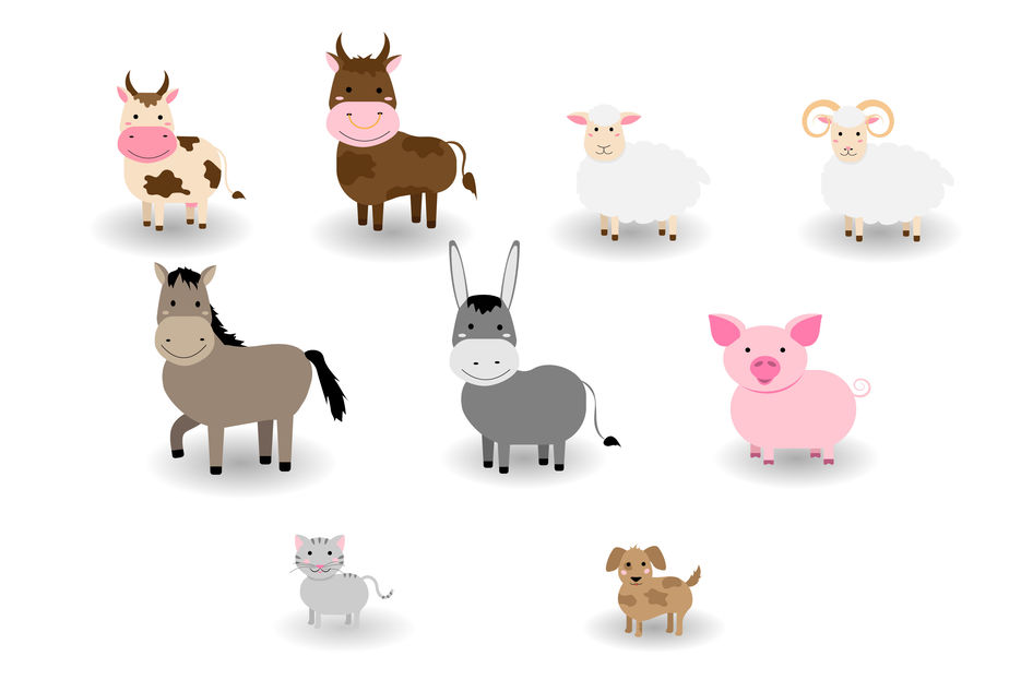 set of animals.jpg