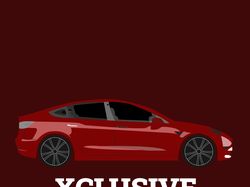 Логотип для автосалона XCLUSIVE