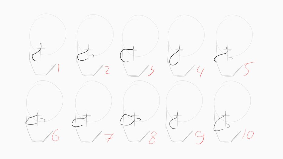 Noses.png