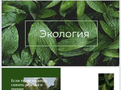 Часть презентации по экологии