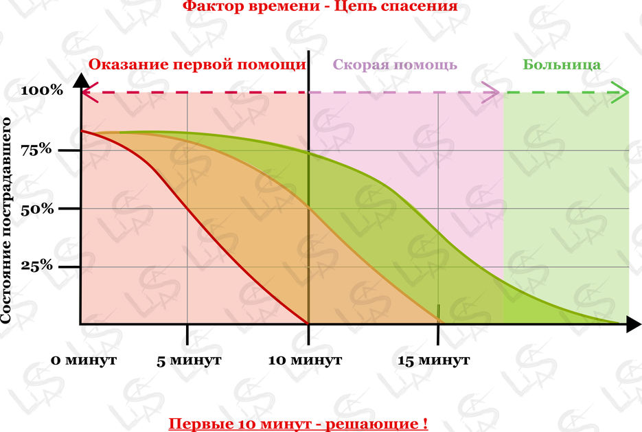 мед24.jpg