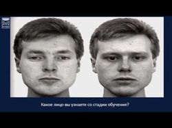 Дублирование лекции