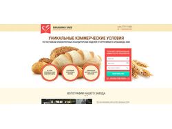 Дипломный проект