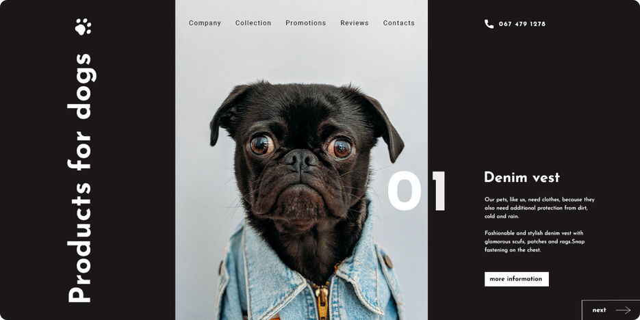 Dog.jpg