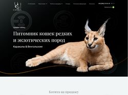 Сайт визитка питомника кошек на Wordpress