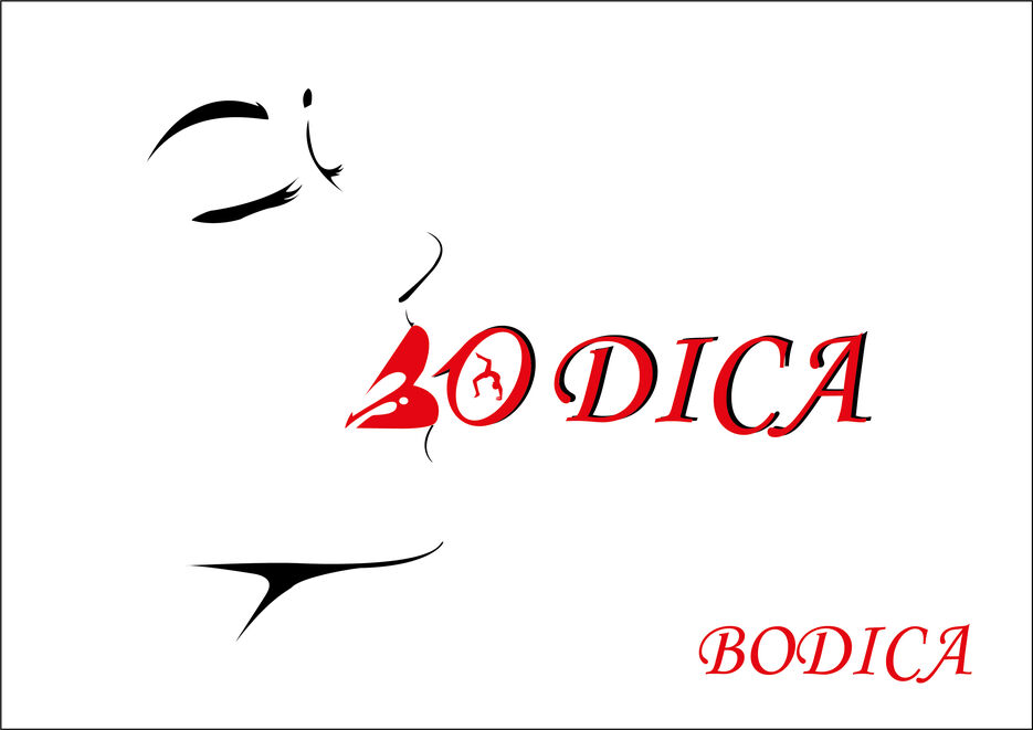 Bodica для комерческого.jpg