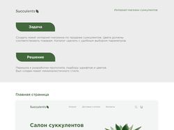 Дизайн интернет-магазина суккулентов