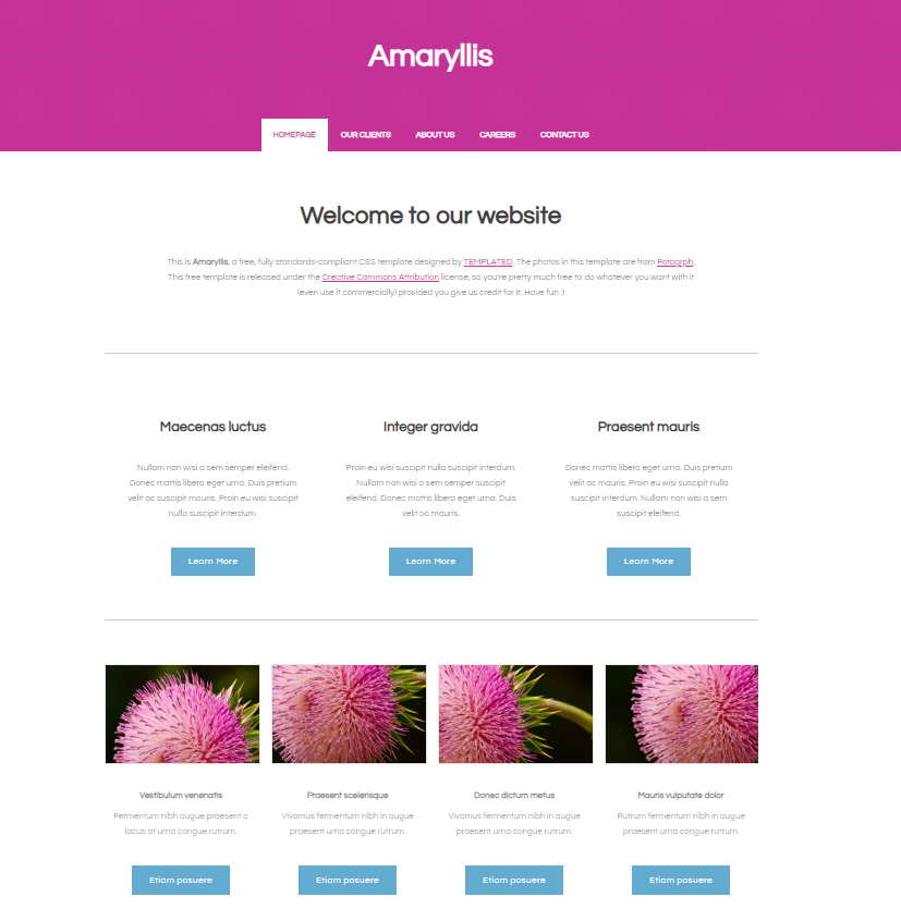 amaryllis.png