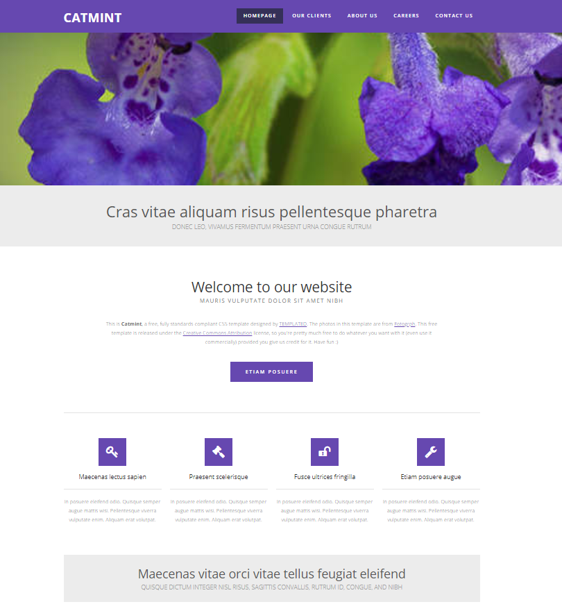 catmint.png