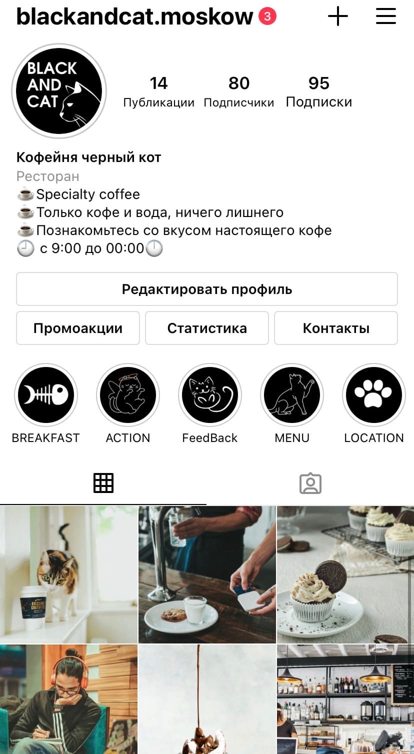КОТ.jpg