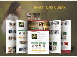 Сайт приюта для собак