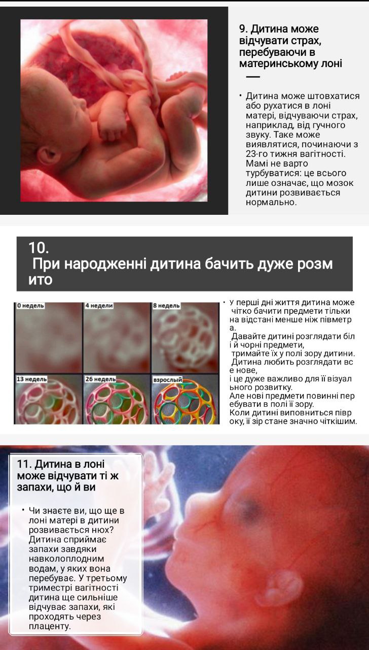 слайд 10-12.jpg