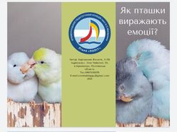 Буклет №2