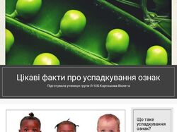 Презентация №6
