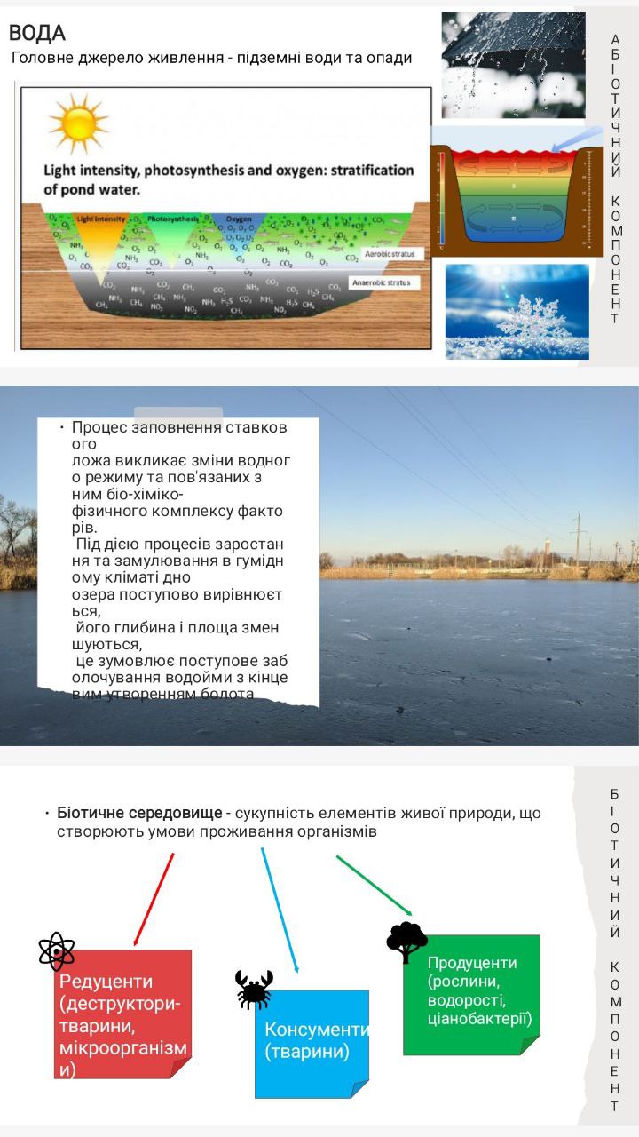 слайд 7-9.jpg