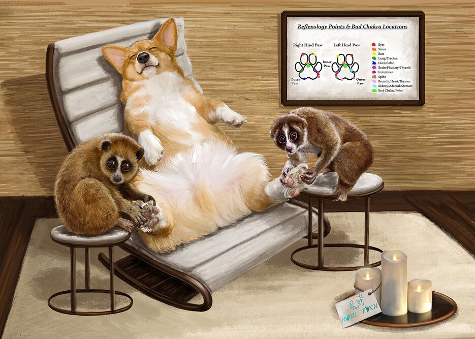 корги и лори1.png