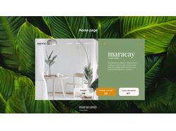 Maracay Desing Studio