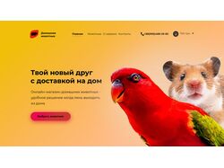 Интернет-магазин домашних животных
