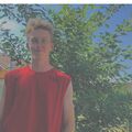 dima_web_master