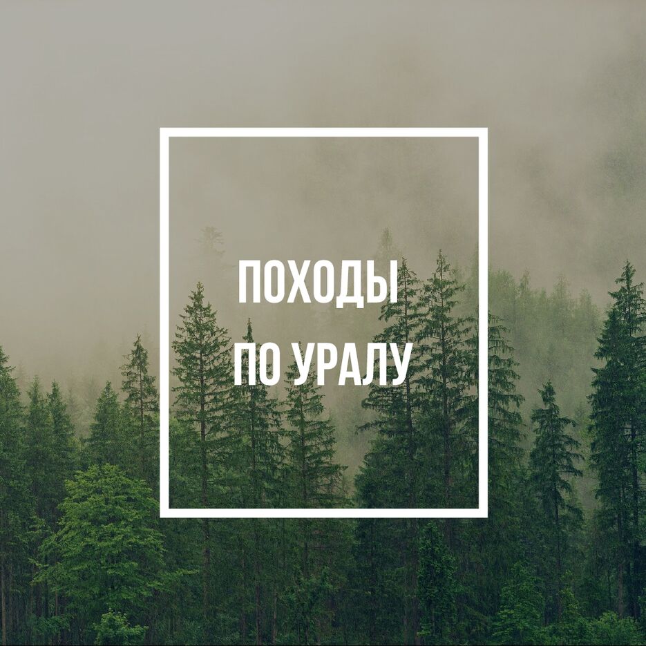 Untitled-1-06.png