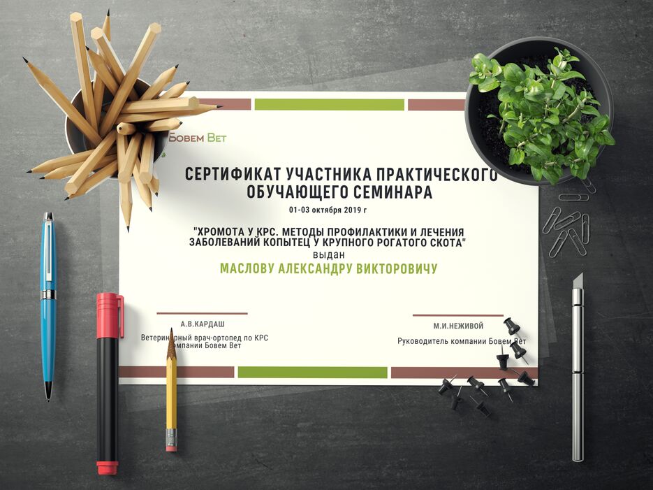 Сертификат БВ.png