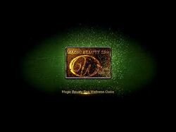 видеозаставка-логотип