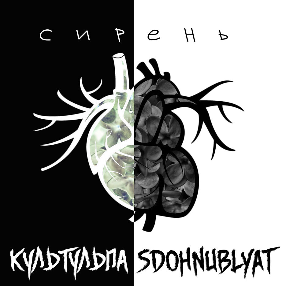 СРЕНЬ.jpg