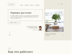 Прототип дизайна  для сайта левитирующих горшков.