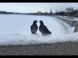 обработка фото
