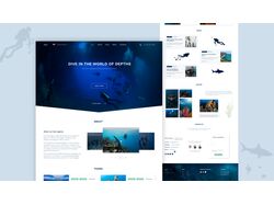 Интернет-магазин на базе Woocommerce "DIVEin"