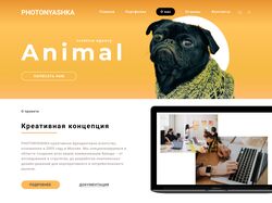PHOTONYASHKA