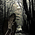 Mr_Bla748