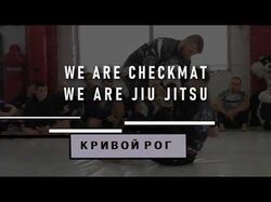 Видеопрезентация,  видеоблог