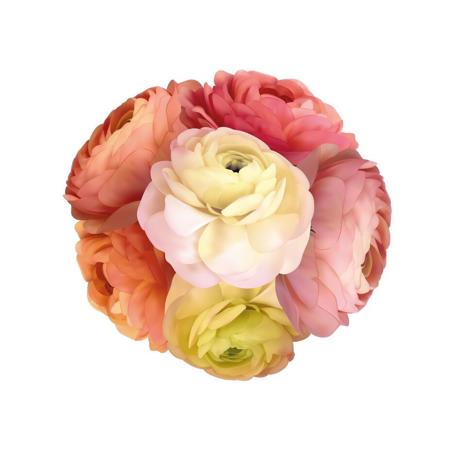 ranunculus bouquet.jpg