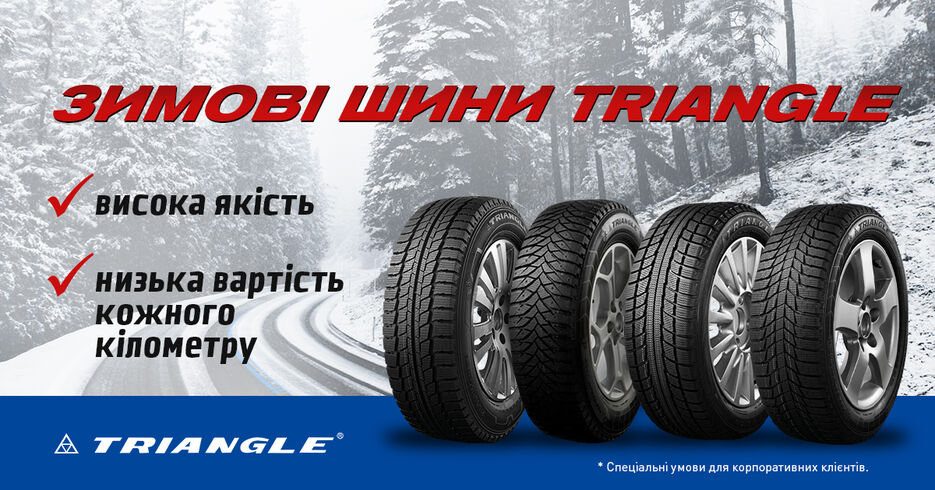 Баннер TRIANGLE.jpg